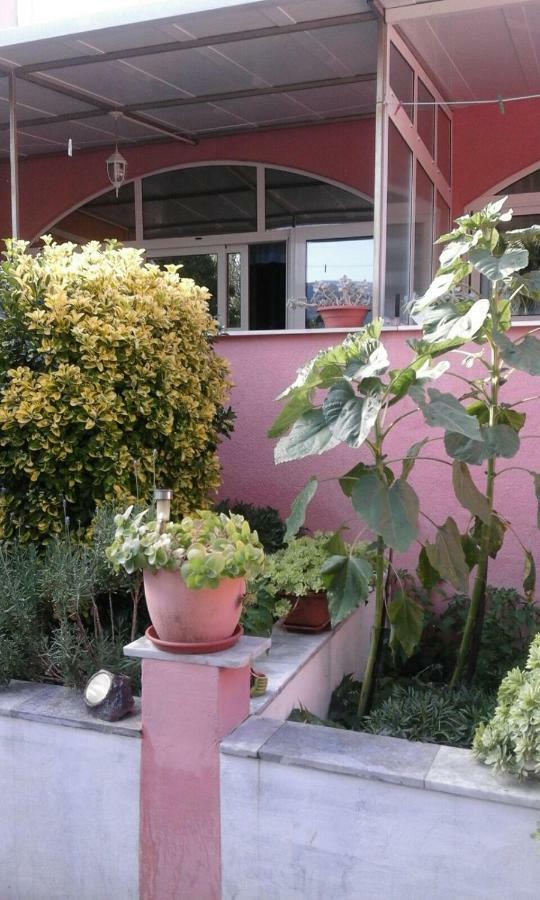 Apartments Ana Buratovic Stari Grad  Dış mekan fotoğraf